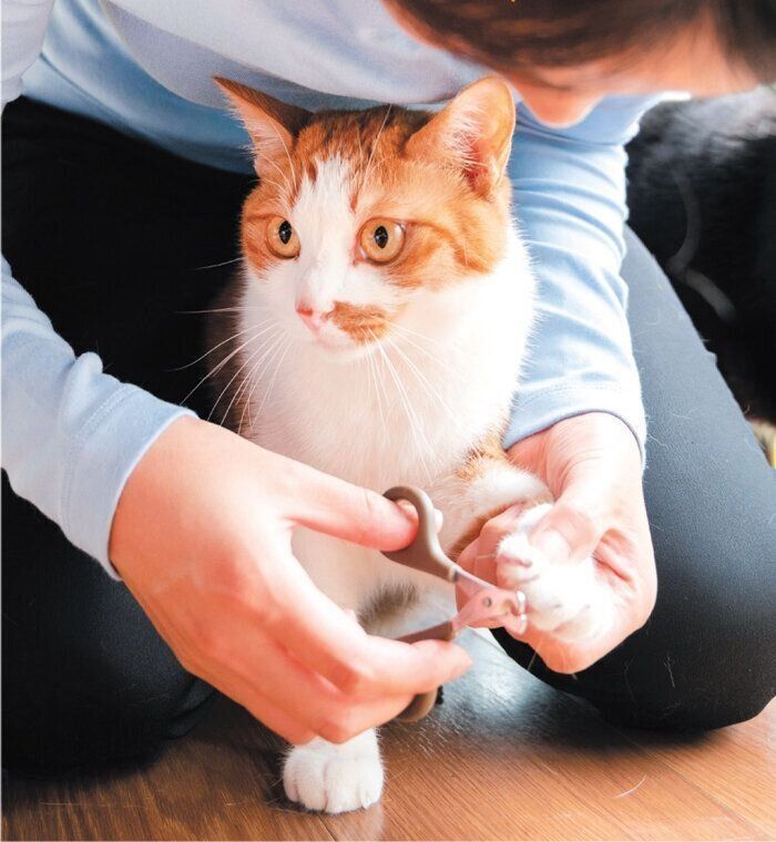 覆いかぶさり切り