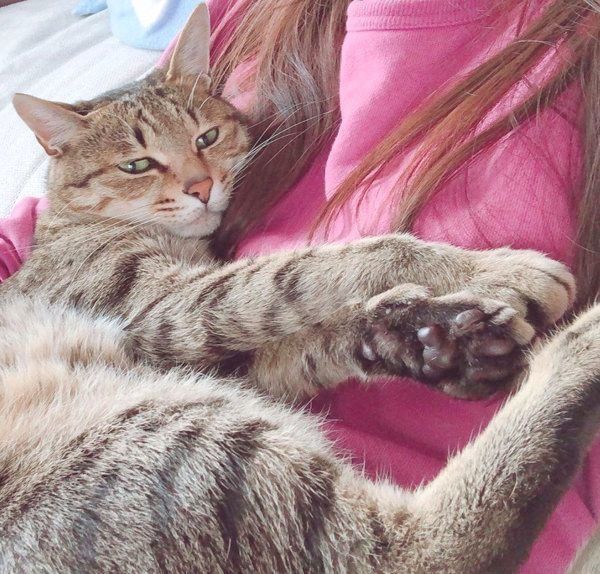 飼い主さんに甘えるMugiくん