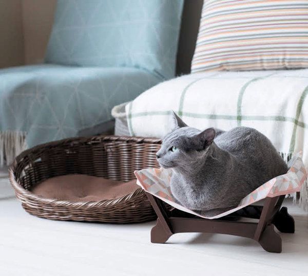 ハンモックでくつろぐ猫