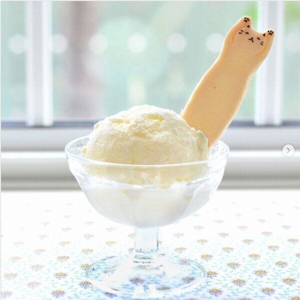 Lauraさんの猫スイーツ