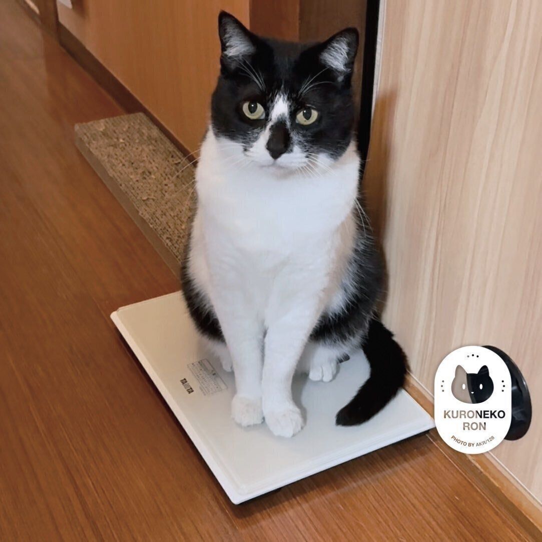 体重計に乗るまめさん