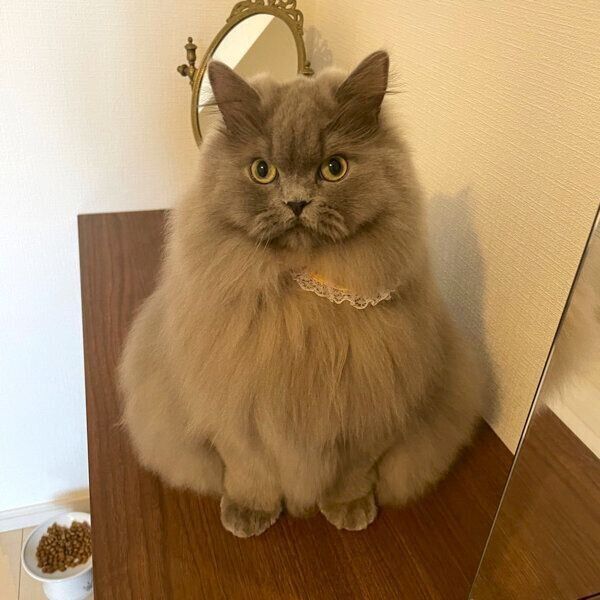 見つめる勘吉さん