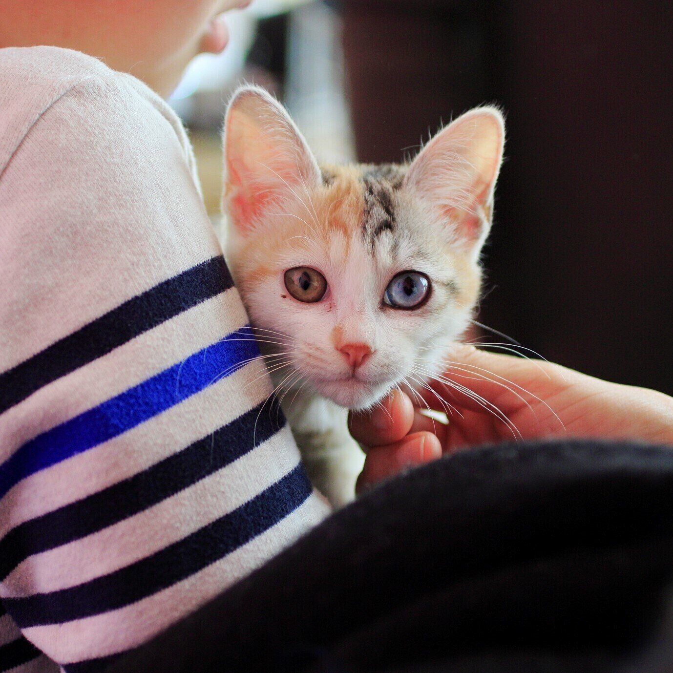 写真提供／一般社団法人Do One Good