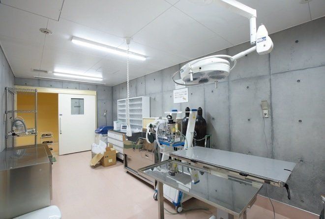 撮影／尾﨑たまき