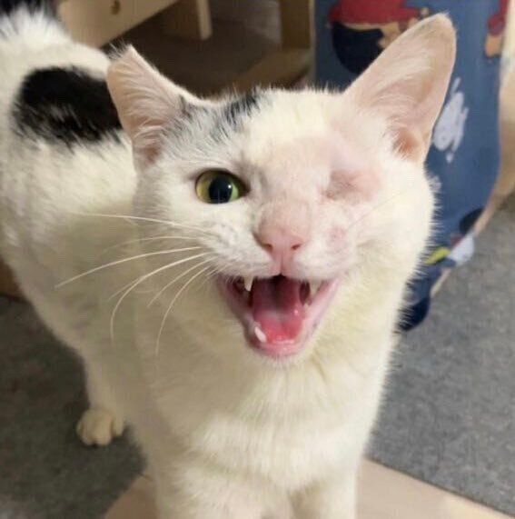 少し前のよぼぎちゃん