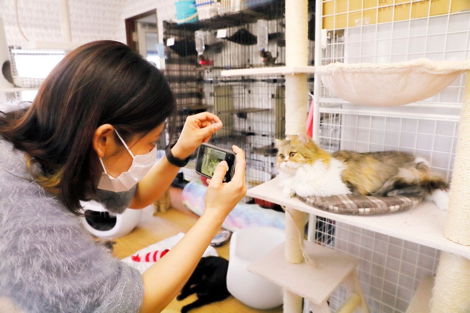 撮影／後藤さくら