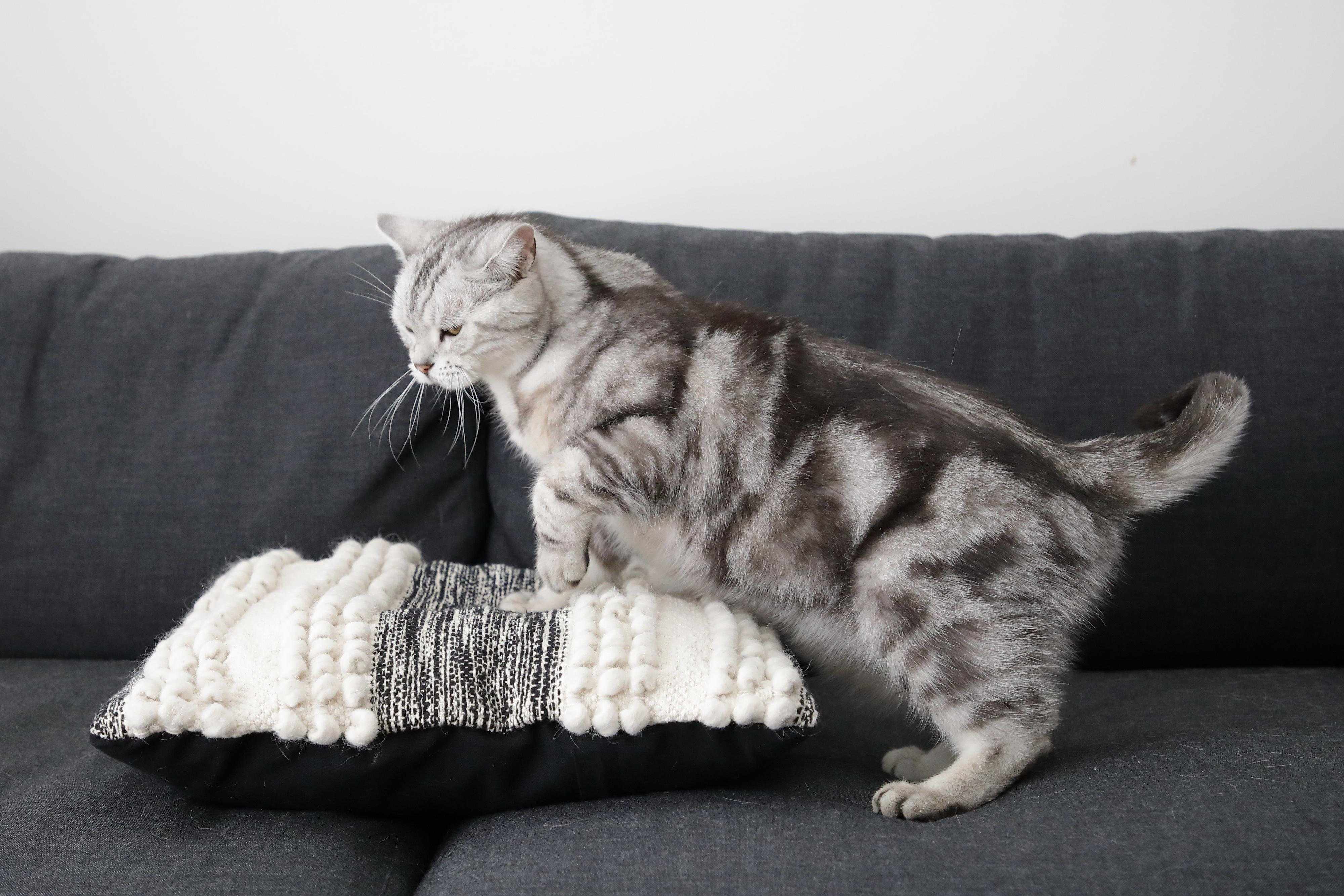 撮影／尾﨑たまき