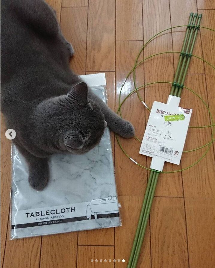 猫トンネルの材料