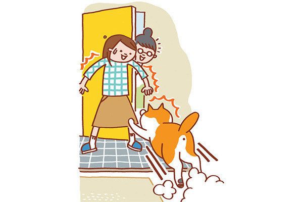 脱走しそうな猫