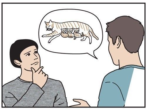 男の猫道　タイトル