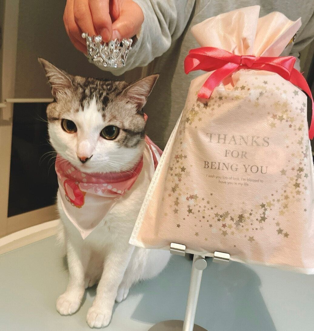 2才を迎えたくぅちゃん