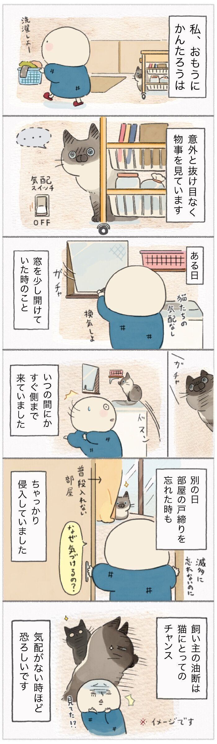 「ねこ連れ草」196話め
