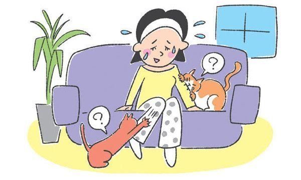 「噛む引っかく」をしやすい猫の特徴