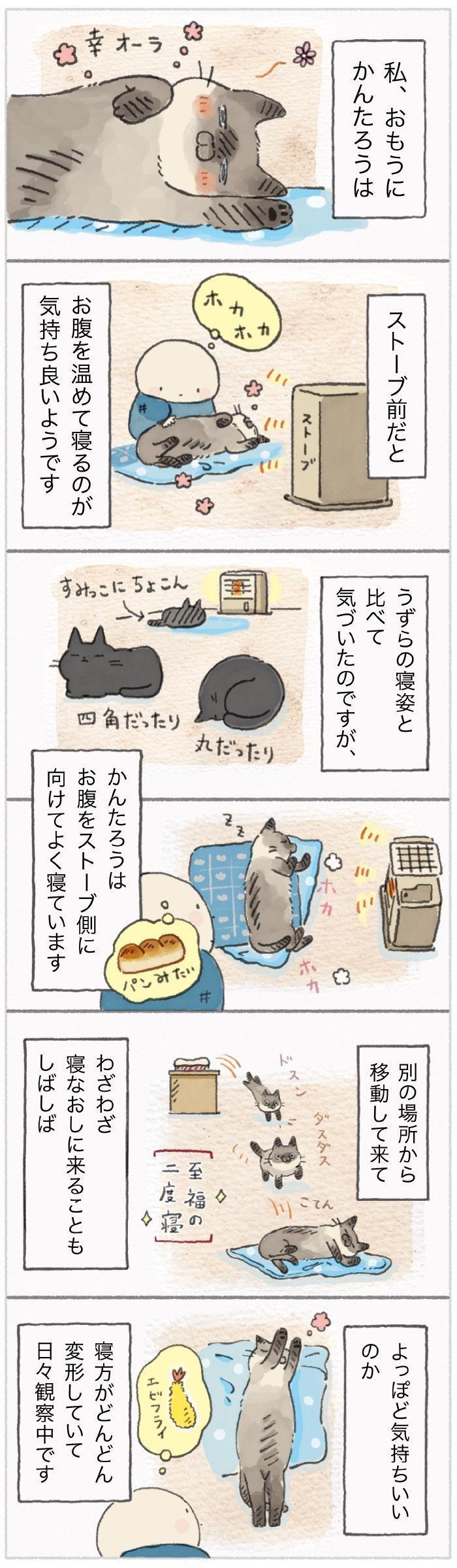 「ねこ連れ草」108話め