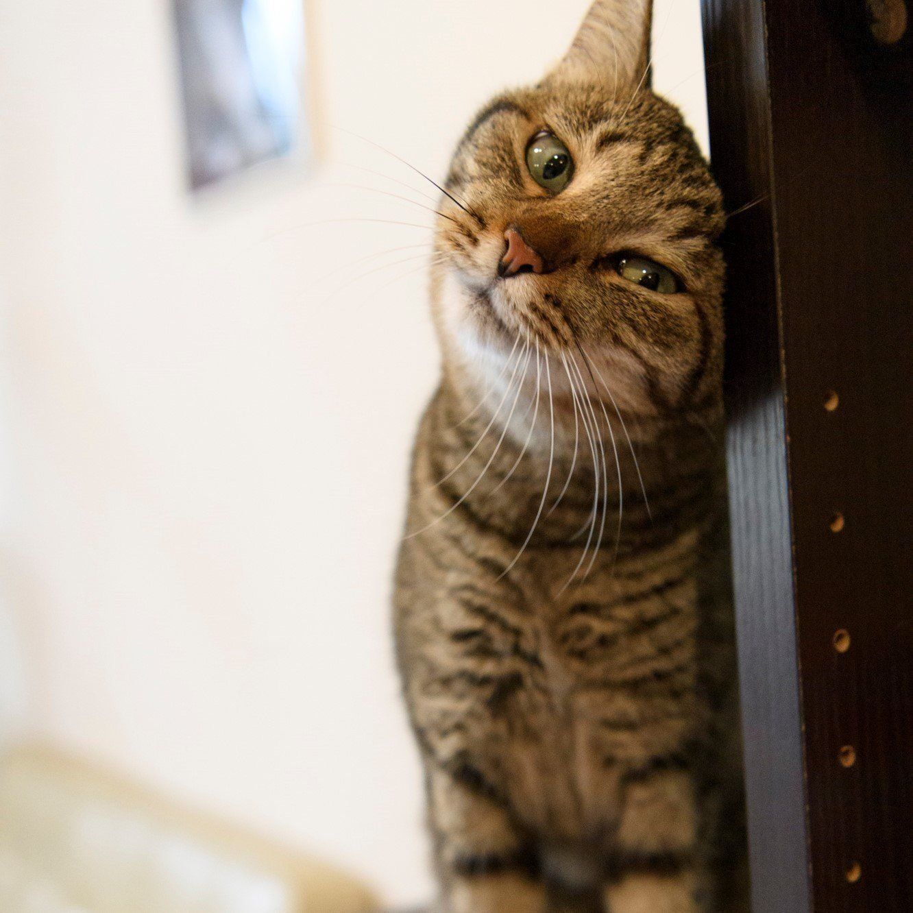 撮影／Akimasa Harada