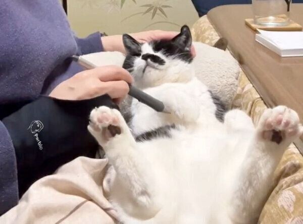 まったりするドツちゃん