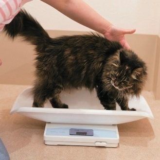 撮影／中川文作