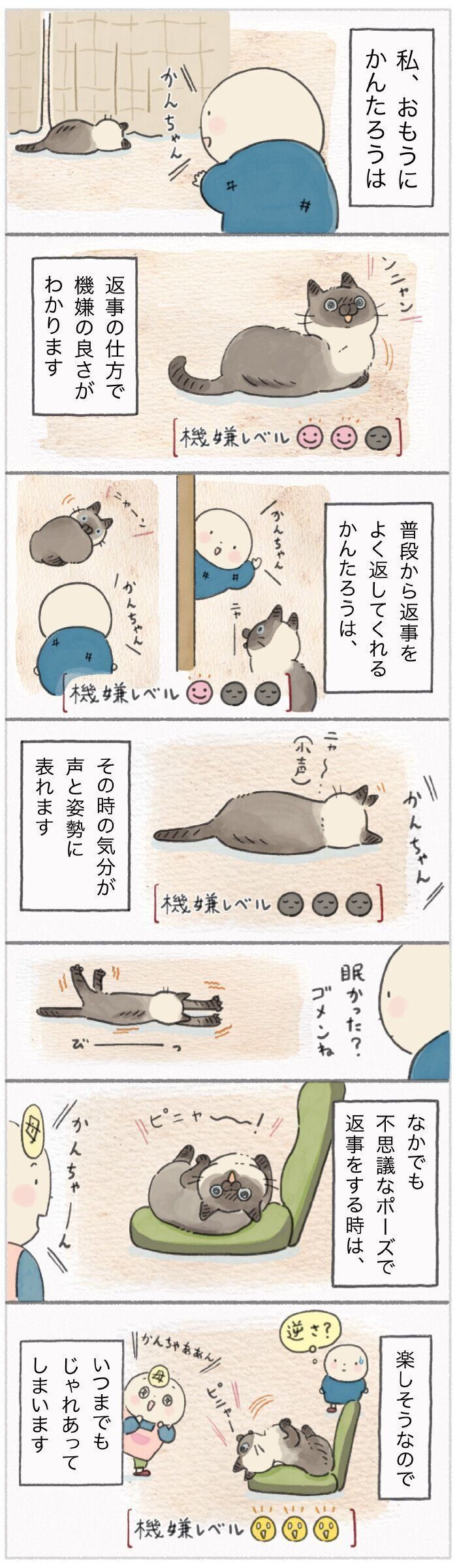 「ねこ連れ草」198話め