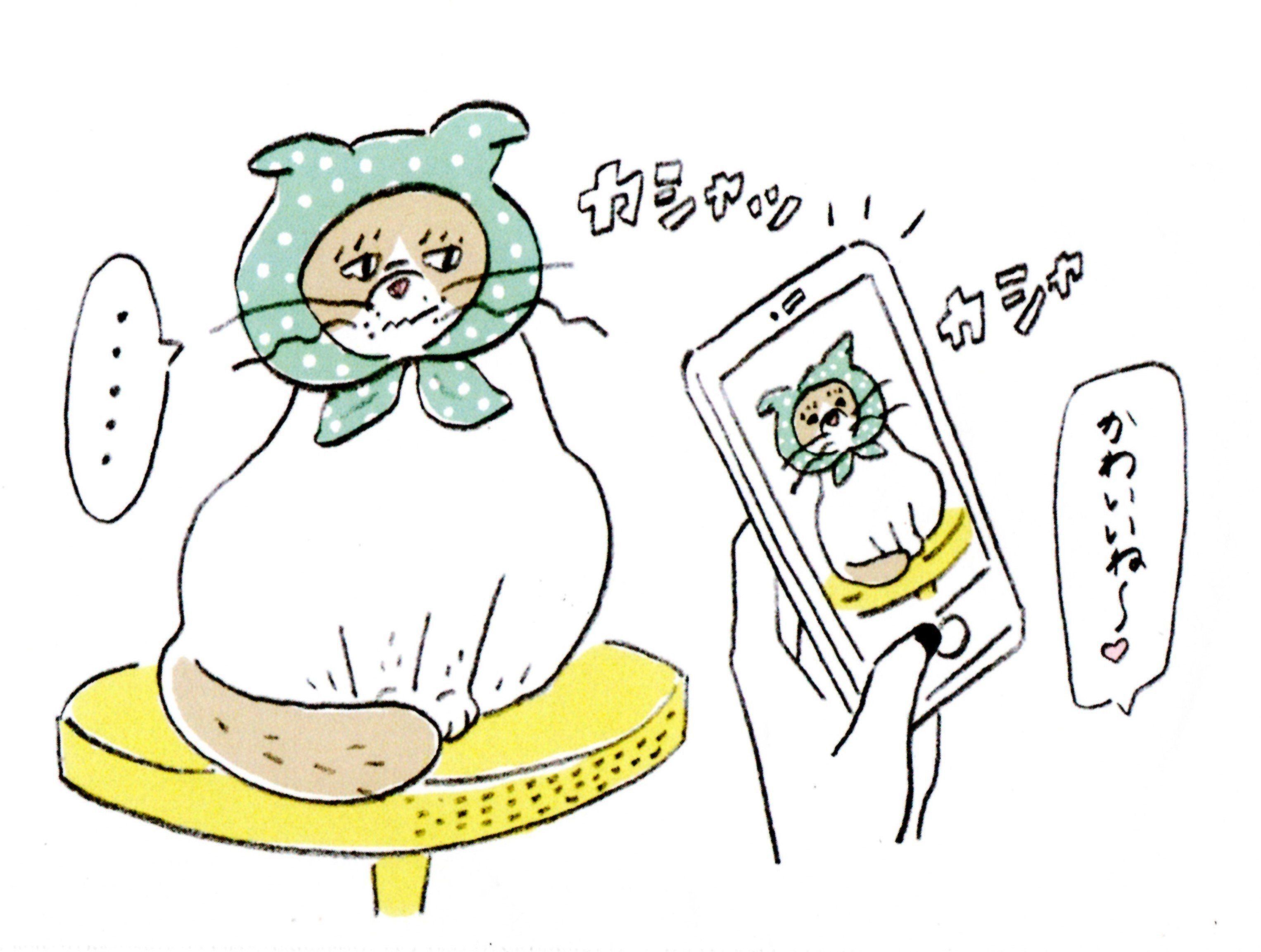 イラスト／タカヒロコ