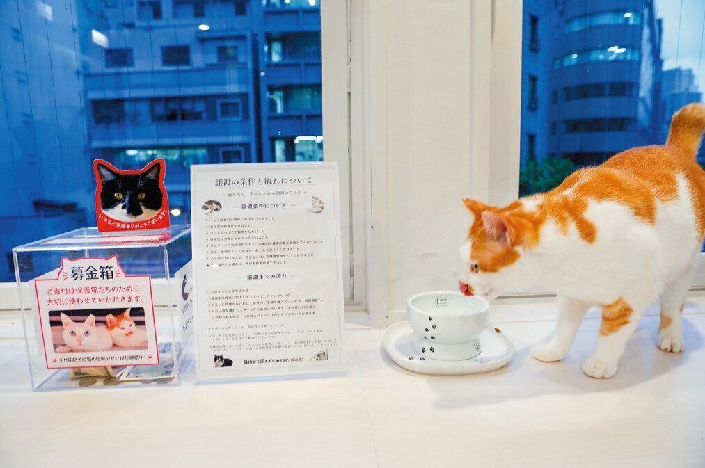 撮影／後藤さくら