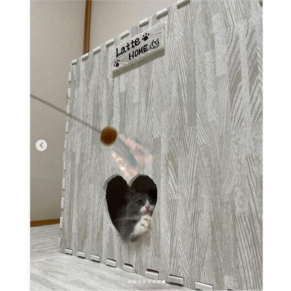 DIY猫トンネル