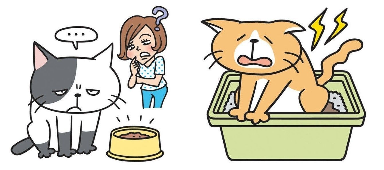 イラスト／河南好美さん