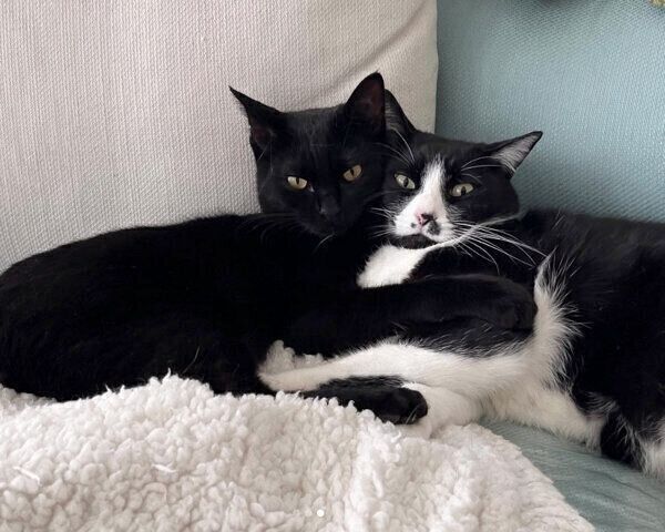 頬を寄せ合うはなおくん、豆太郎くん