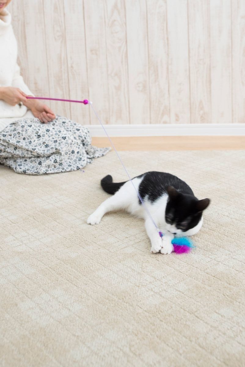 撮影／中川文作