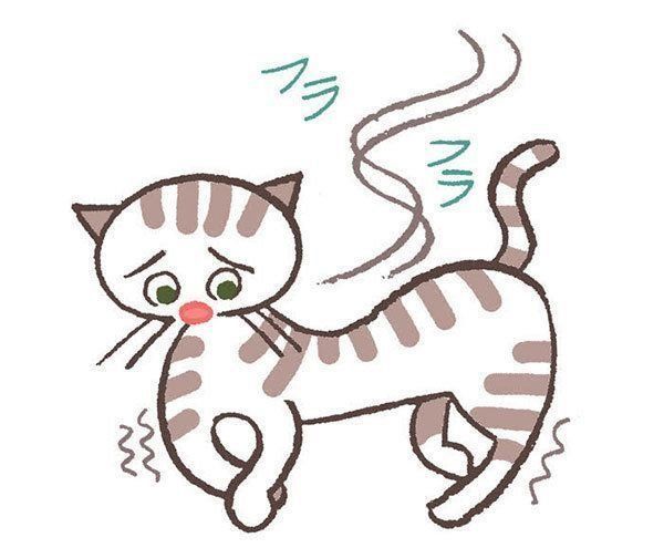 ふらつく猫
