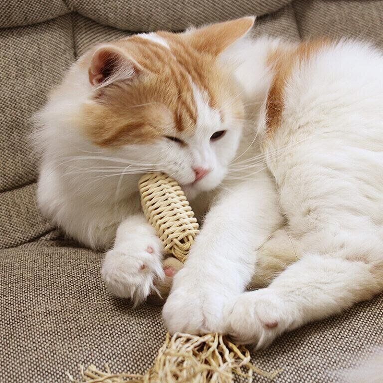 シンシアジャパン作品