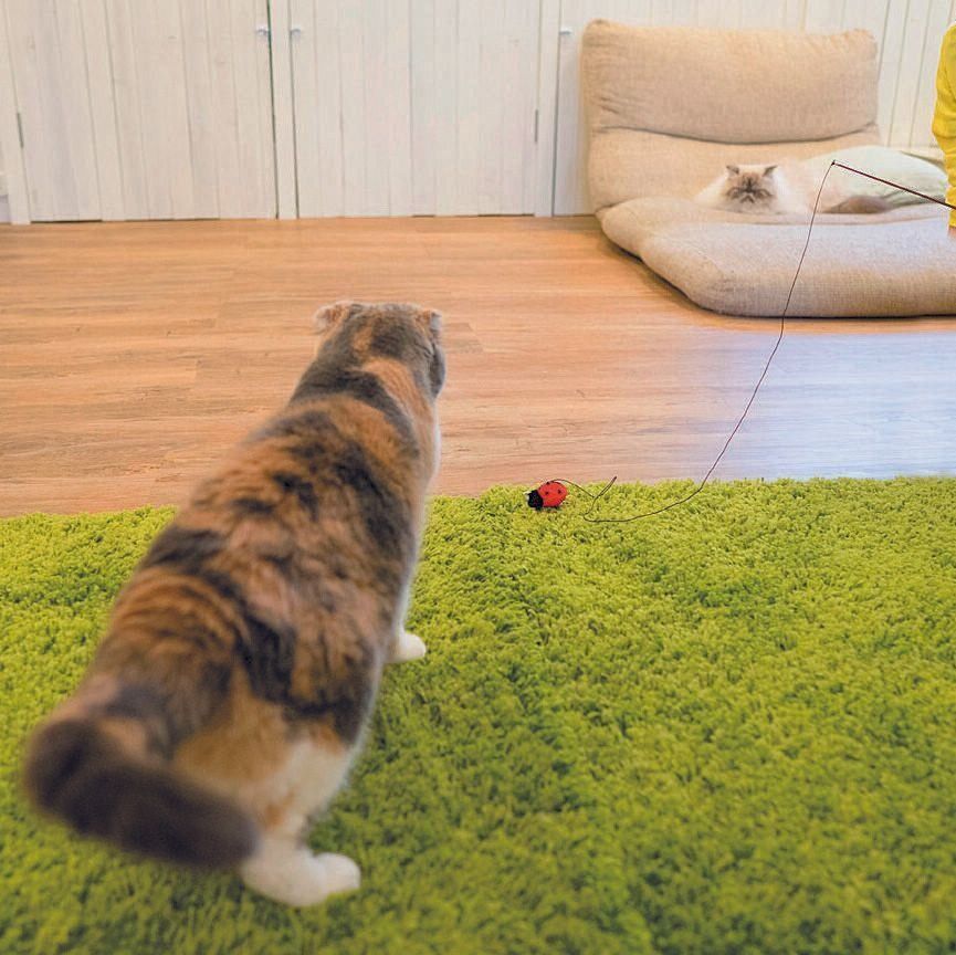 撮影／石原さくら