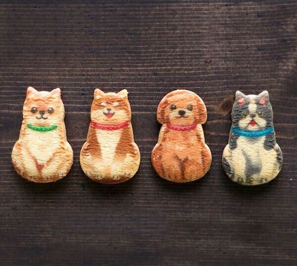 「京都まいこと」のわんわん犬さんくっきー