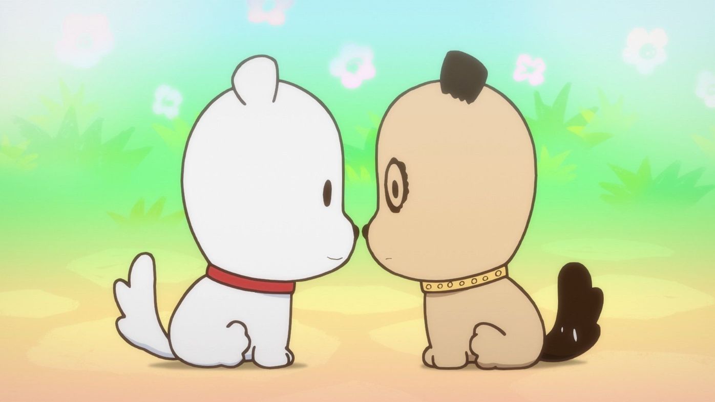Tvアニメ うちタマ 人気声優が語る 猫と暮らしはじめたきっかけとは ねこのきもちweb Magazine Tvアニメ うちタマ 人気声優が語る 猫と暮らしはじめたきっかけとは ねこのきもちweb Magazine