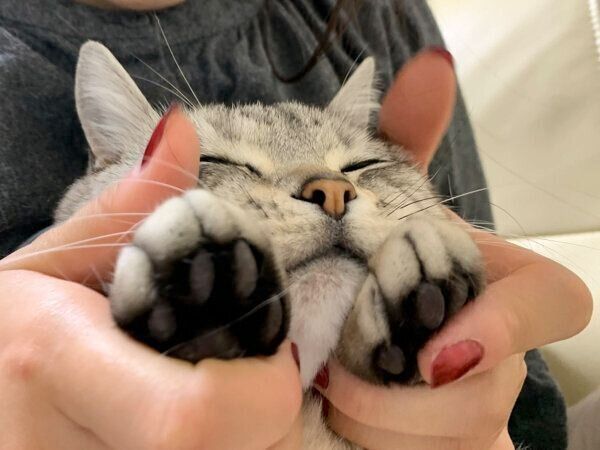 娘さんに甘えるサスケくん