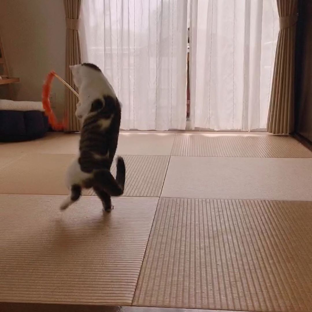 1人遊び中のタラちゃん