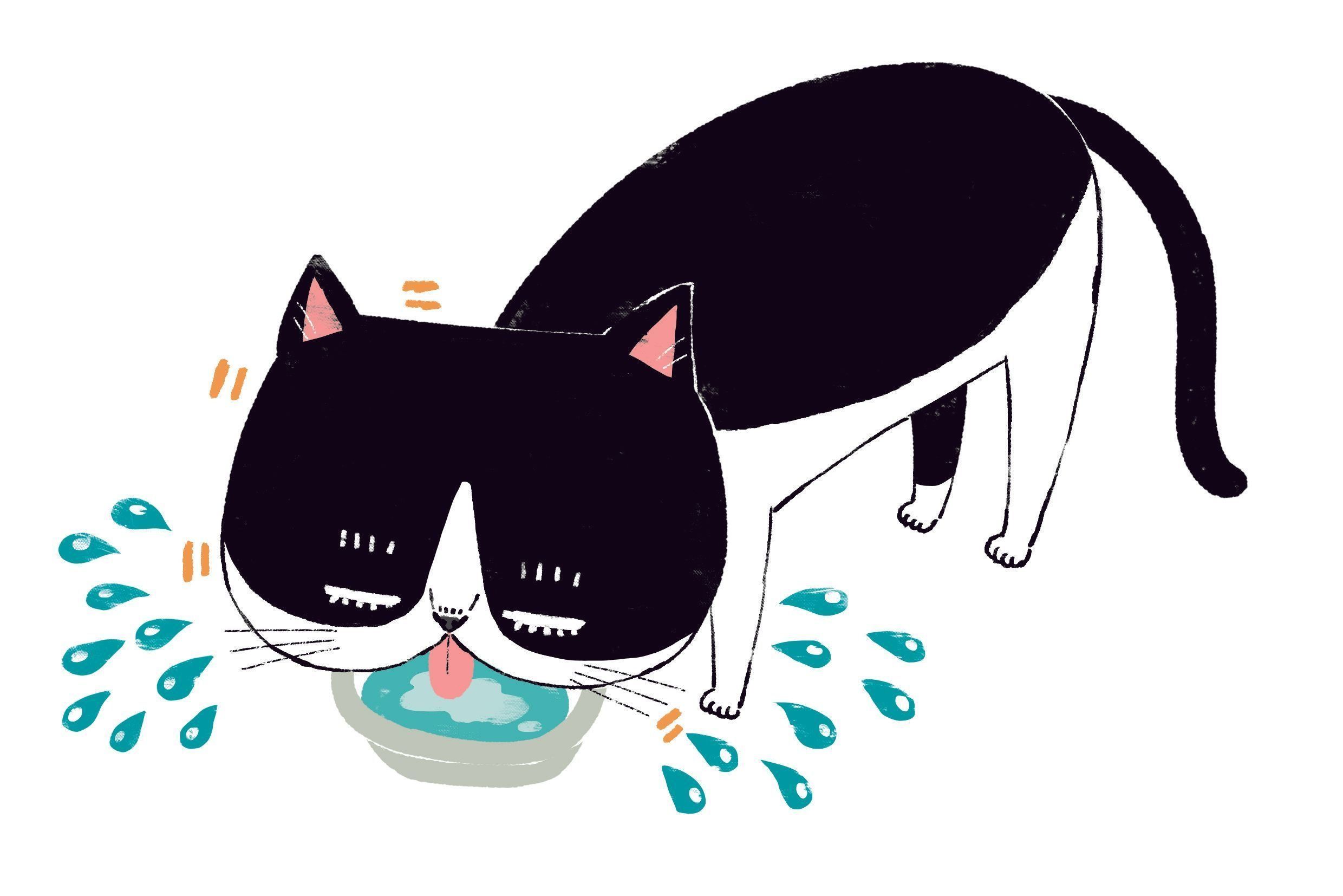 イラスト／Studio CUBE.