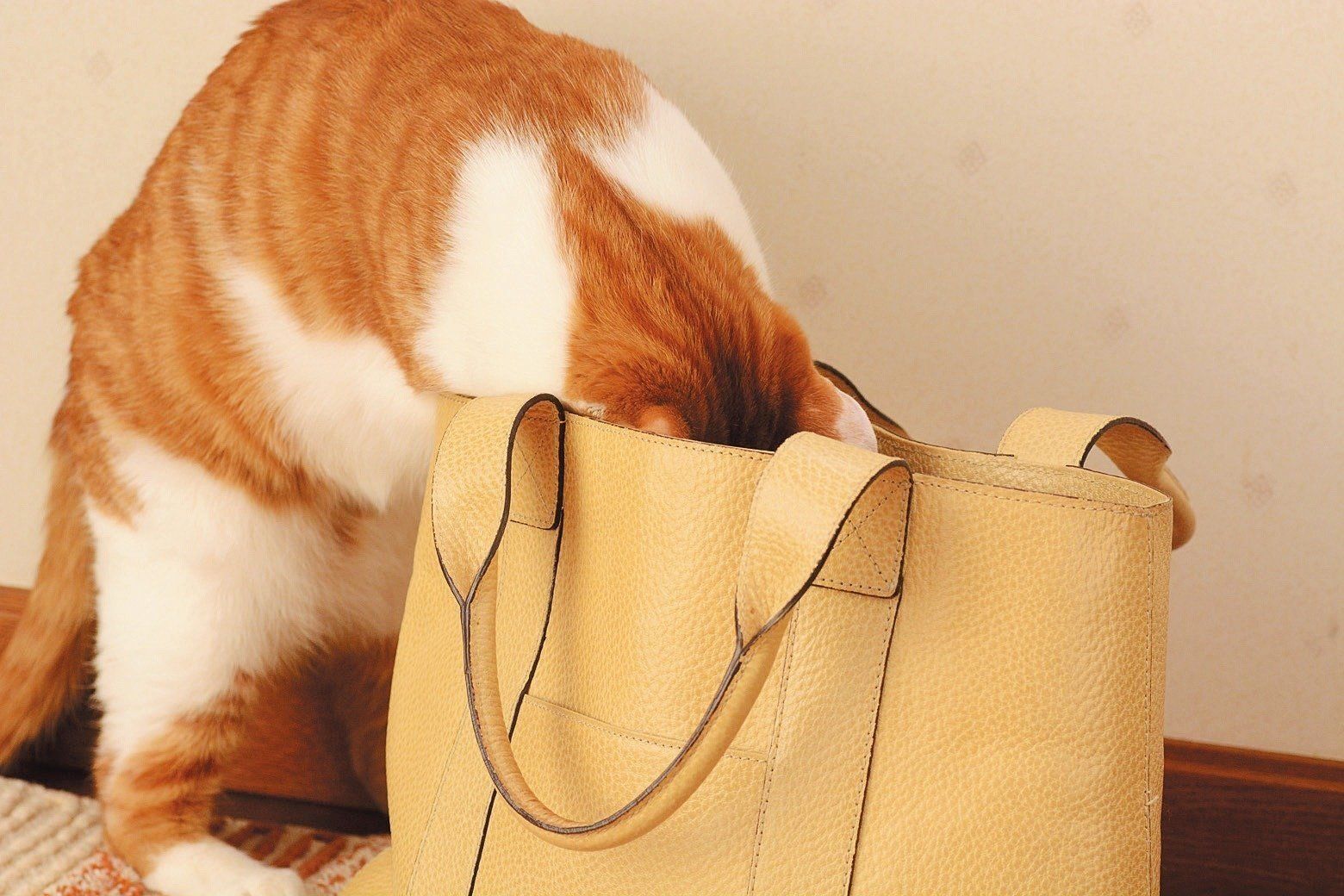 撮影／栗林　愛