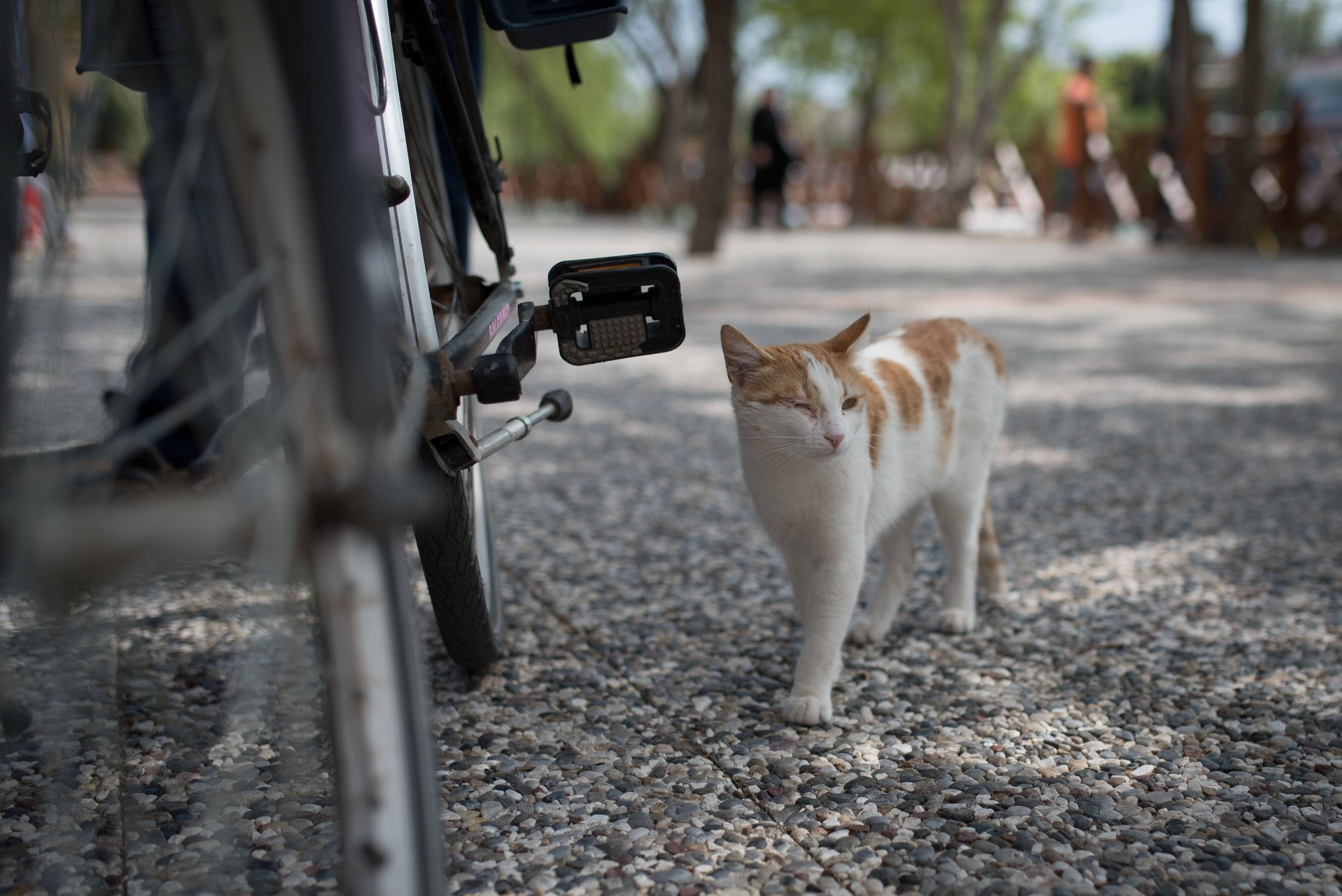 画像／iStock、Getty Images Plus