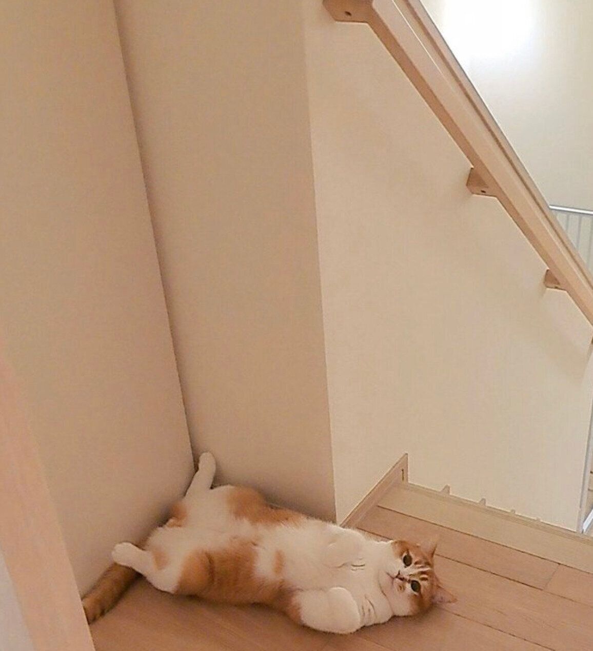 トイレの前で出待ちするもなかくん