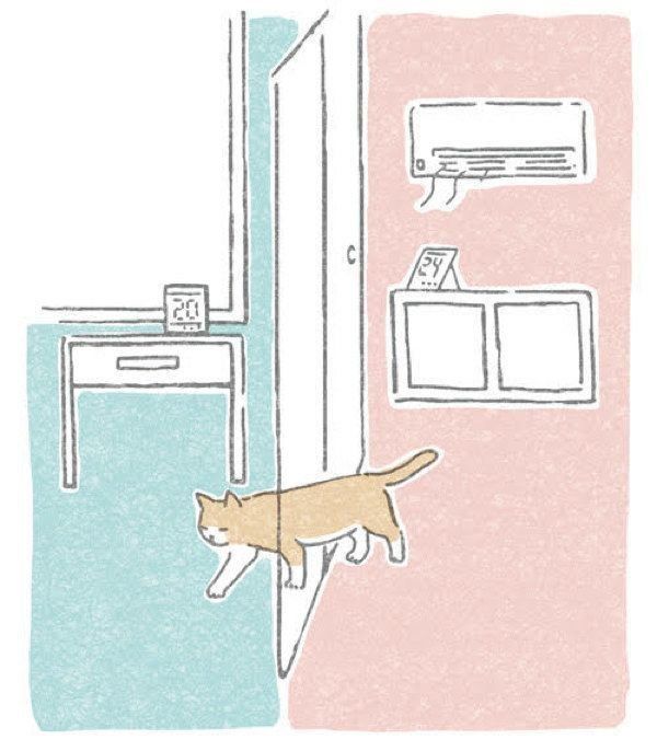 猫の健康維持に直結する寒さ対策