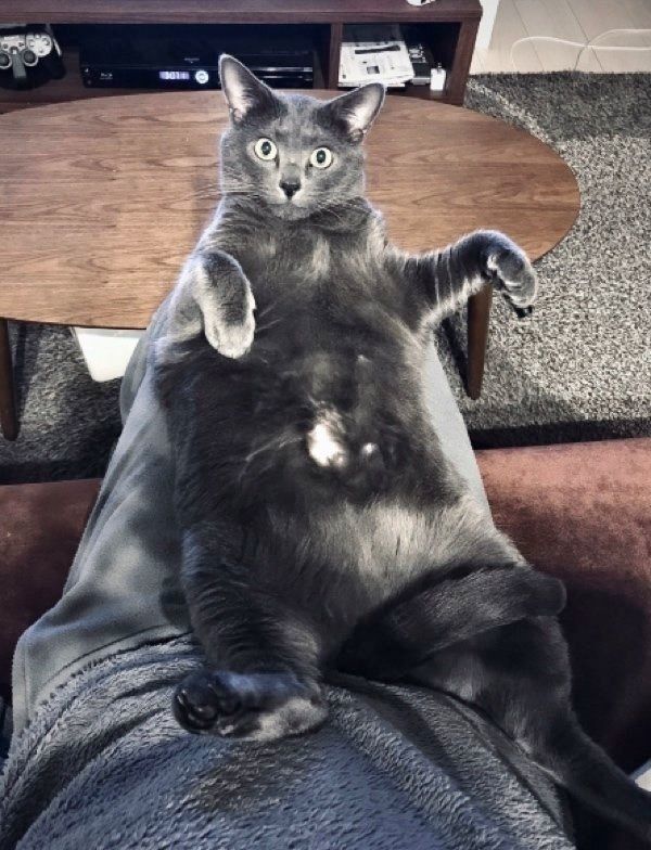 おなかを出すバーちゃん