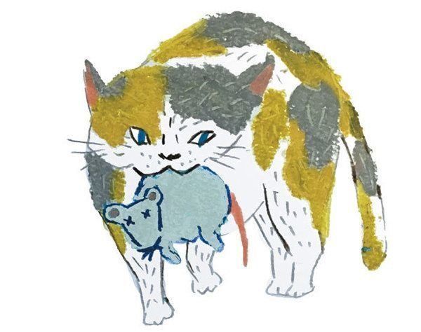 知っておきたい猫の栄養学