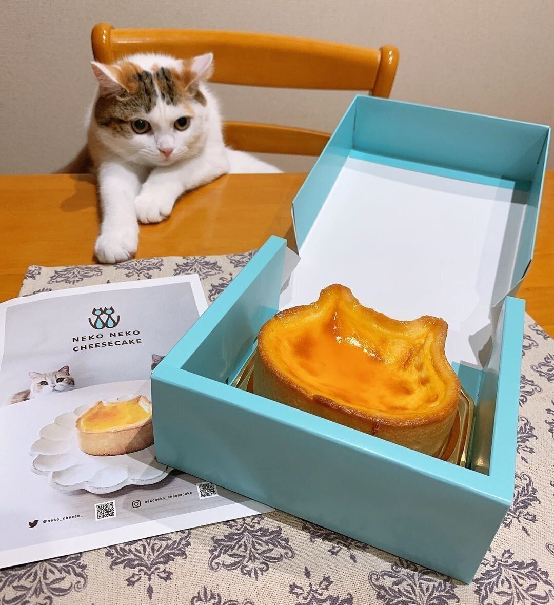 ねこねこチーズケーキ