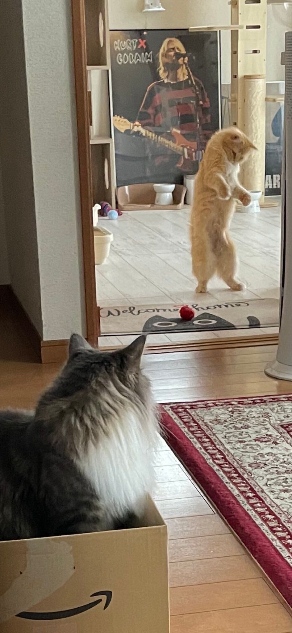 レイくんとエマちゃん