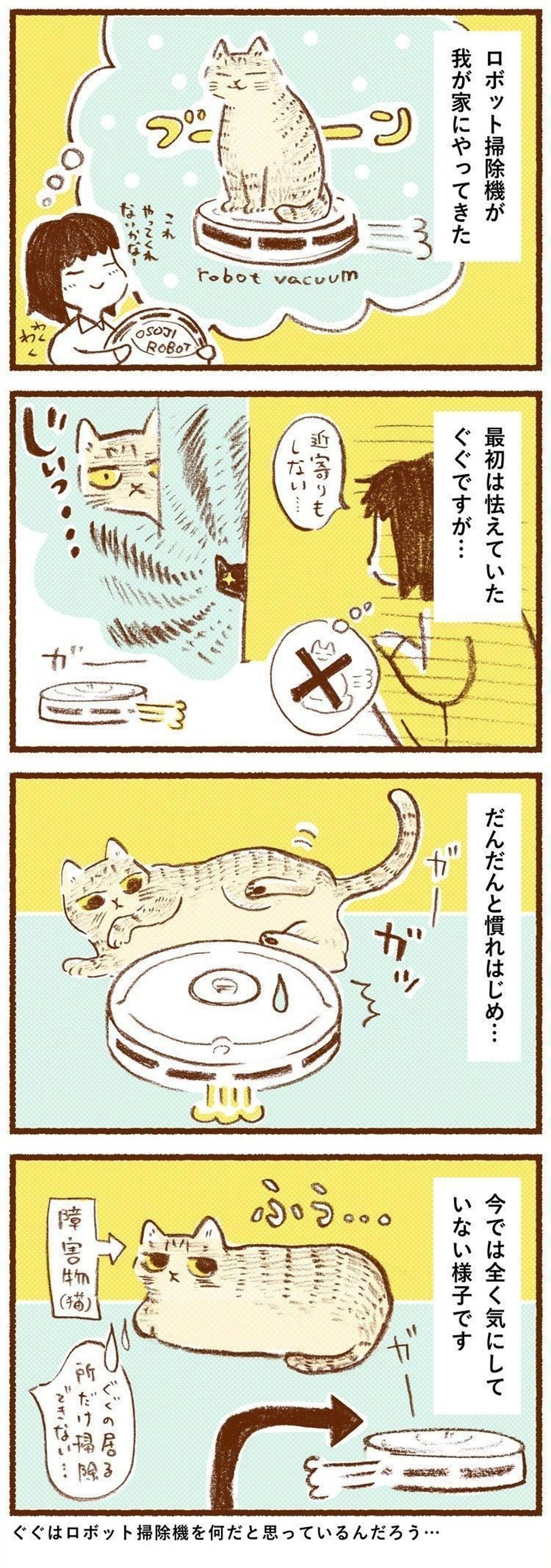 ルンバに乗った猫 を期待して 猫とお掃除ロボットの残念な距離感 しまねこぐぐ Vol 51 ねこのきもちweb Magazine ルンバに乗った猫 を期待して 猫とお掃除ロボットの残念な距離感 しまねこぐぐ Vol 51 ねこのきもちweb Magazine