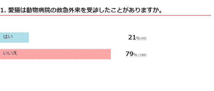 救急外来を受診したことはありますか？
