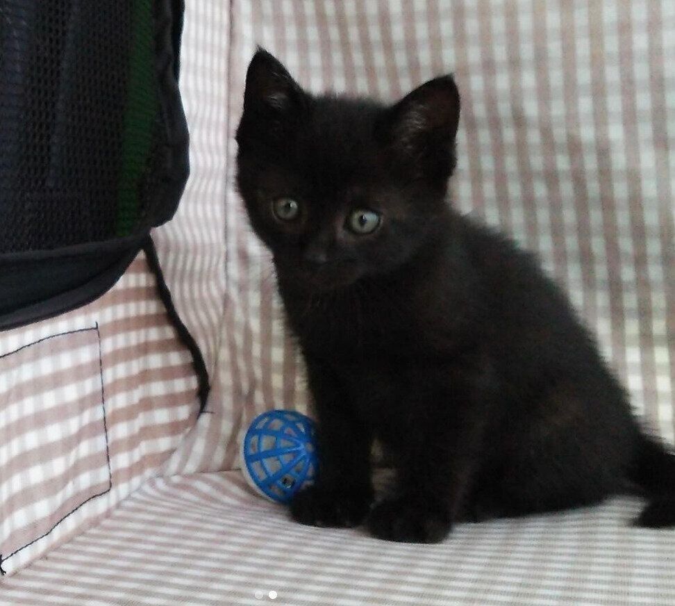 保護して3日目のはなびくん