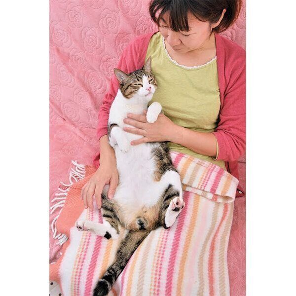 飼い主さんに抱っこされる猫