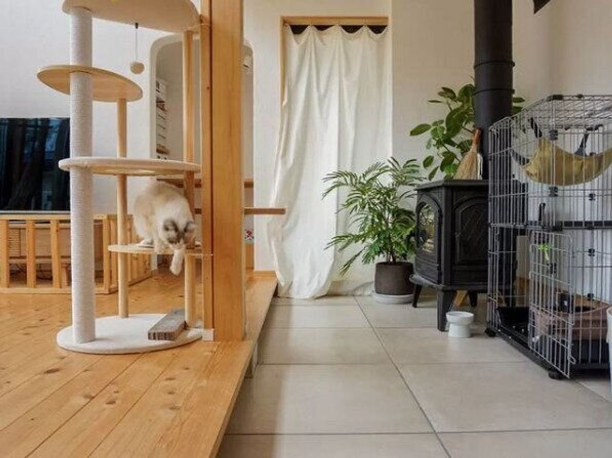 おしゃれなキャットタワーのあるインテリア 飼い主さんに選んだ理由を聞いてみた ねこのきもちweb Magazine おしゃれなキャットタワーのあるインテリア 飼い主さんに選んだ理由を聞いてみた ねこのきもちweb Magazine