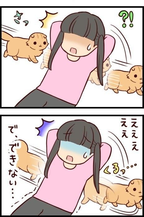 「もふもふスコたん」5話目